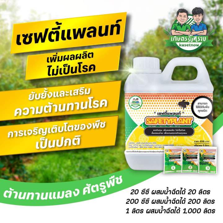 เกษตรรับทราบ เซฟตี้แพลนท์ ป้องกันโรคพืช