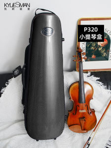 Ultra-Light Portable Steel Frame Violin Case Pedi P320 Layered Structure Guitar Piano Accessories Special for Violin