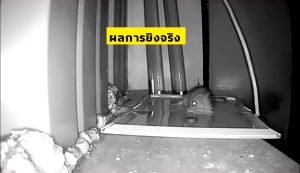 กาวดักหนู 2024 MSW รุ่นใหญ่ขึ้นอัพเกรด กาวนำเข้าจากเยอรมัน กาวดักหนูถาด 30 ปี กาวหนูมืออาชีพยี่ห้อเก่า กาวนำเข้าจากเยอรมัน มือ กระดาษหนาขึ้นใหญ่ขึ้น เหนียวสุดๆ ไร้สารพิษ หนู แมลงสาบ จิ้งจก ตุ๊กแก แมงมูม ติดได้ กาวดักหนูใหญ่