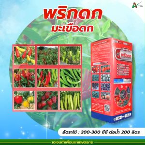 พริกดก มะเขือดก สร้างตาดอก เปิดตาดอก ติดดอกดก ขั้วเหนียว ติดผลดก ผิวสวย เก็บเกี่ยวได้นาน ขยายผลใหญ่ น้ำหนักดี เอเจนต้า คอร์ป