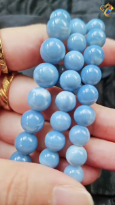 Collection Grade Turtle Shell Blue Opal Bracelet