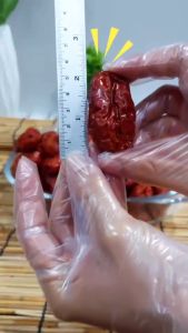 พุทราจีน ลูกใหญ่ ขนาด 500 กรัม สมุนไพรที่ช่วยอาการเย็นตามมือ-เท้า บรรเทาความอ่อนเพลีย สามารถนำมาทำเป็นซุป หรือกินผลเปล่าได้ วิตามินสูง พร้อมส่ง