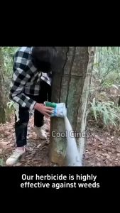 【Strong destructive power】500g weed killer racun rumput paling kuat Effective control of weeds removal of large trees and bamboo Concentrated formula Harmless to humans Can 环嗪酮除草剂