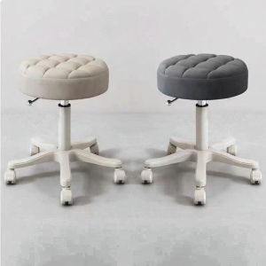 Swivel Adjustable Beauty Salon Chair
