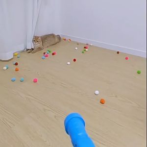 Cat Toy Interactive Play Training Toy Plush Ball Shooting Toy Gun Chaser Soft Toy
