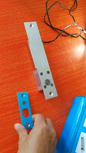 Electric Bolt Lock Access Control Door (EC235H-1)