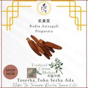 100gr Herbal Zhi Qi Zhi Huang Qi 炙黄芪 Radix Astragali Preparata Astragalus Propinquus