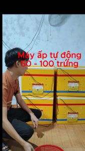 Freeship - Máy ấp trứng tự động 50 - 100 trứng lắp sẵn thùng xốp - được miễn ship