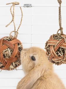 Feeding Ball for Rabbits And Hamsters Natural Fiber Weaved Pasture Toy for Pet Stress Relief And Interactive Teeth Grinding