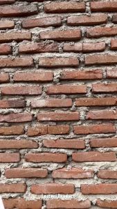 Cetakan Es Batu & Cetakan Jelly Serbaguna: Panduan Lengkap