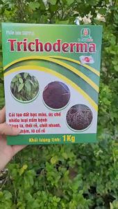 [THIEN THINH SHOP] Nấm Trichoderma dùng trộn phân ủ phân rãi gốc giúp ngừa bệnh tốt đất phân hủy rác thải thực vật hộp 1kg