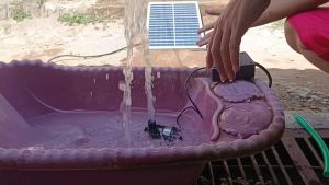 COD CEPAT Taffware Pompa Air Aquarium Ikan Submersible Pump 12V 22W 5 Meter Daya Hisap / Pompa akuarium air mini 12 volt untuk kolam ikan elektrik erator cas adaptor / Blower kolam ikan sikulasi aquarium hidroponik handal aerator pump fish tank high