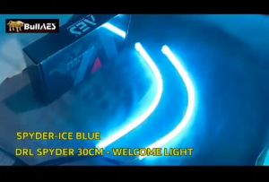 DRL AES Softled 30 cm Welcome Light Sequential Signal Light SPYDER