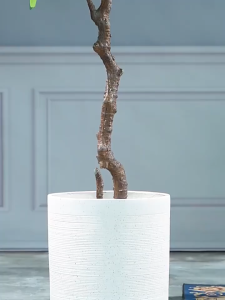 ต้นไม้ปลอมเทียม ดีไซน์มินิมอล พร้อมกระถางเบลล่าและหินโรยสีขาว ตกแต่งบ้านสไตล์โมเดิร์น