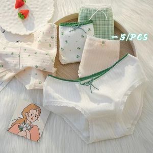 กางเกงในผ้าฝ้าย ลายน่ารัก สไตล์เกาหลี ผู้ใหญ่เด็กใส่ได้ 5 ชิ้น/เซต