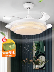 Chigo | Invisible Large Ceiling Fan Light with Remote Control