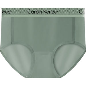 CarbinKoneer | Seamless Underwear Womens Ice Silk Triangle Panties Anti-bacterial Short Panties