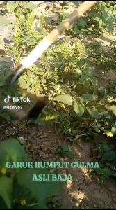 Cangkul Pembersih Pemotong Gulma Rumput