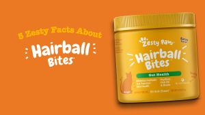 Zesty Paws Hairball Bites for Cats Gut Health - Bacon Flavor (60 Soft Chews) (EXP:10 2027)