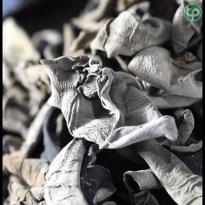 Nấm mèo khô 500g Mọc nhĩ khô - Tấn Phát