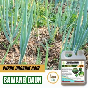 Pupuk Bawang Daun Booster Agar Cepat Tumbuh Besar Organik Cair 1 Liter Jagotani Yogyakarta