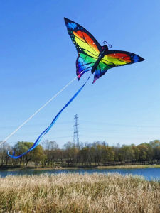 New colorful butterfly kites flying Outdoor toys sports animal kite professional kite wind kites sting line dragon kites factory
