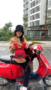 Đai An Toàn Đi Xe Máy Cho Bé Có Phản Quang Điều Chỉnh 2 Phía Phù Hợp 1-10 Tuổi