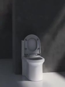 HT Water Saving High quality Toilet Bowl Set Flush Toilet with Seat Cover and Flush Set Buong hanay ng mga banyo COD