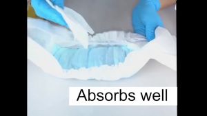 [Buy1 Take1] EGG pet dog and cat diaper absorbs 12/10PCS pieces female/male quick absorption disposable cat diaper XXS XS S M L XL