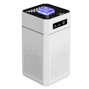 Portable Activated Carbon Air Purifier Hepa Equipped With Negative Ion And Formaldehyde Odor Filters Home Air Purifier