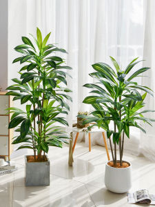 LIANYOU | Brazilian Wood Imitation Plant Large Floor Decoration