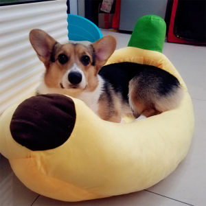 Dog Banana Nest Pet Bed: A Stylish & Practical Solution for Small & Medium-Sized Dogs
