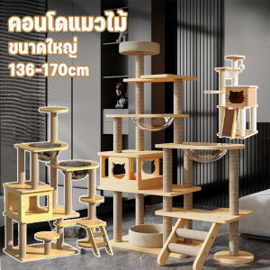 Pattey   คอนโดแมว คอนโดแมวไม้ ที่นอนแมว เสาลับเล็บ คอนโดแมวหลังใหญ่หลายดีไซน์ ขนาดใหญ่ พร้อมโดมนอนแบบใส บันไดและกล่องนอน