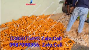 Máy tách hạt ngô gia đình tiết kiệm chi phí và công sức người lao động