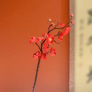 ZHIZHOU | Mixed Floral Decoration Set Dried