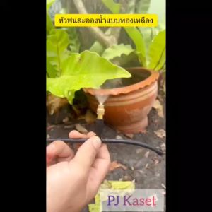 หมอก หมอก น้ำมัน หมอก หมอก ละออง 10-20 หัวสาย 15-20 เมตร ต่อก๊อกน้ำ และถูกก๊อกสนาม หรือคุณสมบัติของคุณ