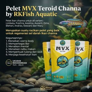 Pelet MVX Teroid Channa Anti Mager Auto Glowing by RKFish Aquatic