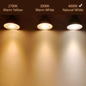 Philips | PHILIPS MR16 GU5.3 LED 4.9W (=50W Halogen) MASTER Spot Light 12V Reflector Lamp 24° 36° Beam Angle 2700K 3000K 4000K White Bulb