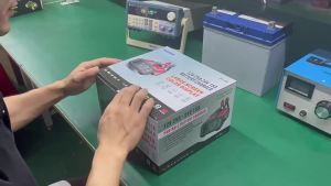 12V 24V FOXSUR FPT-250 Car Battery Charger For Car Motorcycle Truck High-Power Booster Pulse Repair for Lead-Acid AGM LiFePo4