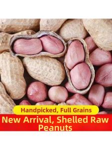 High-yield Raw Peanut Seeds 5 Jin