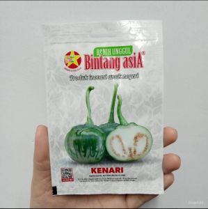 BENIH BINTANG ASIA TERONG LALAP BULAT HIJAU KENARI (KEMASAN PABRIK)