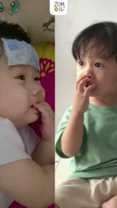 Minyak Balur Alami & Herbal Untuk Anak