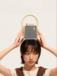 Divoom | Home Singing Speaker Microphone