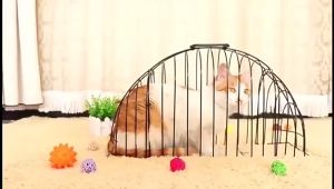 Sangkar Mandi Kucing Besar / Cat Bathing Cage / Cat Bath Grooming Cage