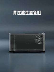 Home Office Aquarium: Johnson Aquarium's No Water Change Filter & Ultra-Clear Glass Options