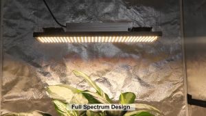 320W ไฟปลูกต้น Samsung LM282B และ ไฟบาร์ปลูกต้นไม้ 3000K และ 5000K ไฟช่วยต้นไม้ตัวเร็ว