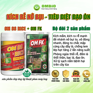 OM 88 RICE + OM FK - Bộ đôi kích rễ mạnh đẻ nhánh nhanh nở bụi to Đòng to chắc mập cứng cây dầy lá cải tạo đất cân bằng pH giảm mặn hạ phèn. Phục hồi cây bị: Thối rễ thối thân đạo ôn cháy lá bạc lá. Xử lý nấm bệnh gây hại cây trồng