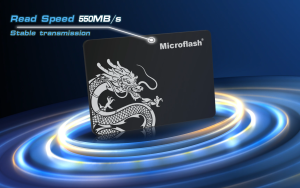 Microflash 480GB SATA III SSD 2.5 Inch Internal Solid State Drive 6Gb/s High Speed Storage for Laptop Desktop Computer