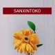 Sanxintokojkt