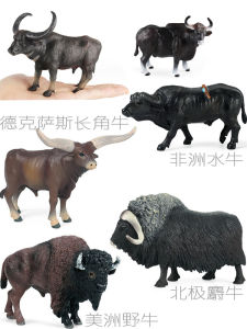 Animal Display Toy Model